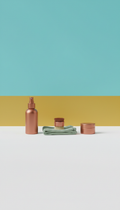 Bronze Cleaning Kit Essentials